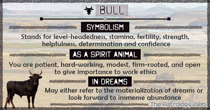 Bull Meaning And Symbolism The Astrology Web