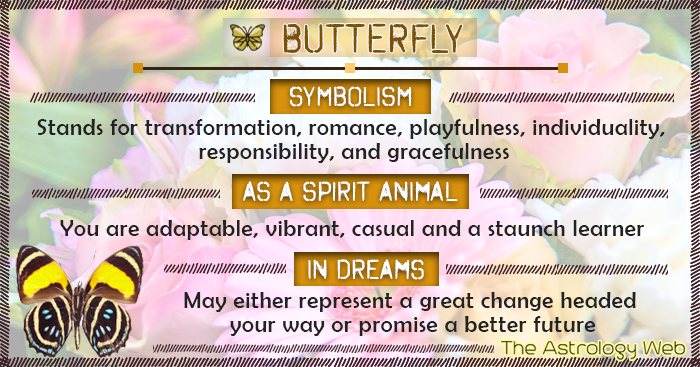 Butterfly Meaning And Symbolism The Astrology Web