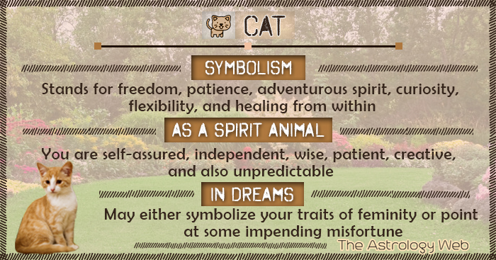 Cat Meaning And Symbolism The Astrology Web