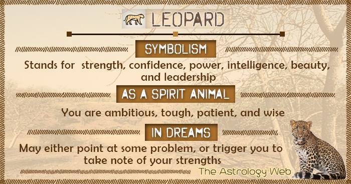 Leopard Meaning And Symbolism The Astrology Web