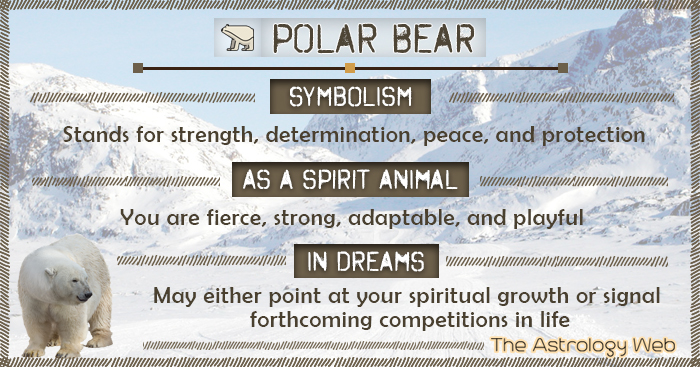 Bear Symbolism & Meaning & the Bear Spirit Animal