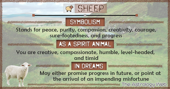 Sheep Meaning And Symbolism The Astrology Web