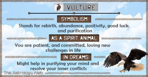 Vulture Meaning and Symbolism | The Astrology Web